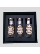 GONG Gyümölcsvarázs Válogatás